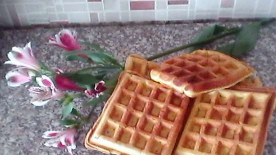 Waffles in a waffle iron GF-040 Waffle-Grill-Toast