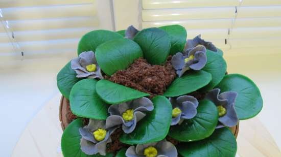 Torte di fiori