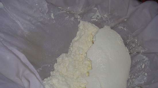 Curd snack (multikoker Redmond RMC-01)