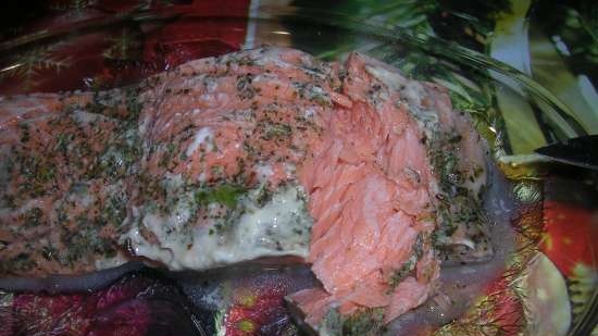 Salmon ala Sous-vid Steba DD1 ECO