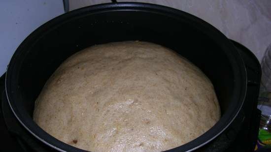 Oud deegbrood (multicooker Steba DD1 ECO)