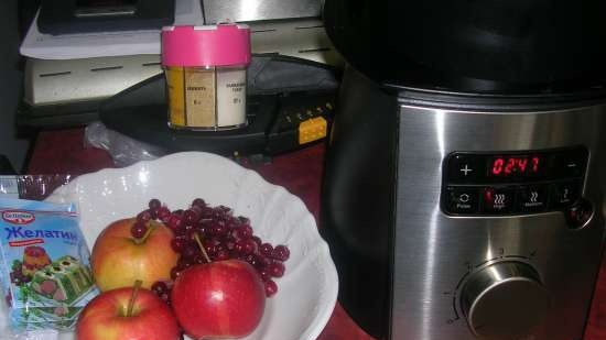 Cranberry-apple dessert (multi-blender Profi Cook PC-MSM1024)