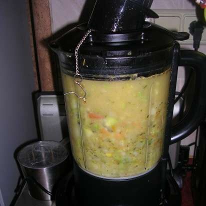 Sopa de pescado con verduras y albóndigas (Profi Cook Multi-Blender PC-MCM1024)