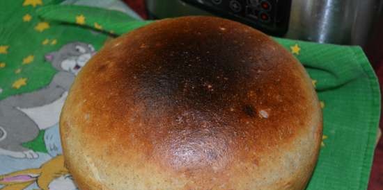 Pane per colazione a lievitazione naturale (Steba DD1)