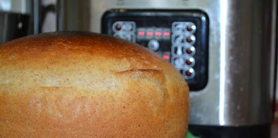 Pane per colazione a lievitazione naturale (Steba DD1)