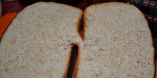 Pane per colazione a lievitazione naturale (Steba DD1)