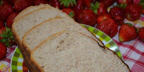 Pa d'esmorzar Risin Sourdough (Steba DD1)