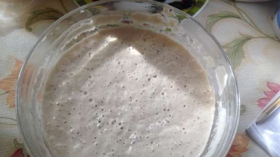 Pa d'esmorzar Risin Sourdough (Steba DD1)