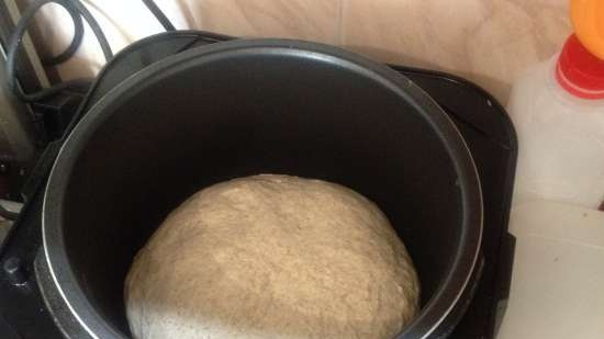 Pa d'esmorzar Risin Sourdough (Steba DD1)