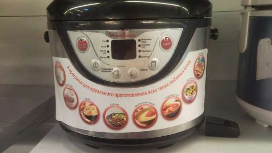 Choosing a slow cooker, pressure cooker, rice cooker (2)