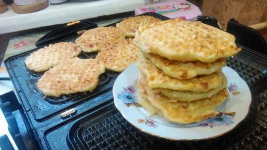 Khachapuri snel op een andere manier in een contactgrill VVK