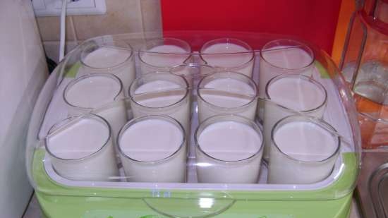 Fabricante de yogur Marca 4002