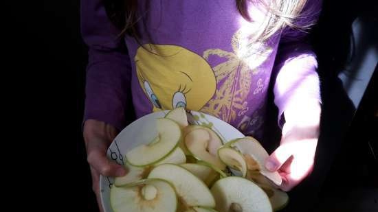 Spiraalhakmolen (snijmachine, spiraalsnijder) voor het snijden van groenten en fruit