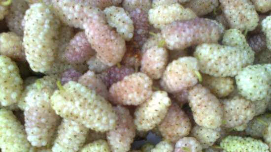 Dried white mulberry