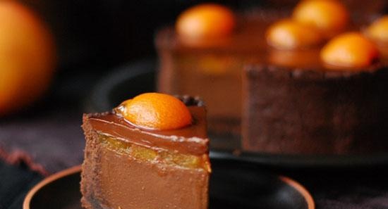 Andy Chef's Chocolate Tart with Apricots and Mousse