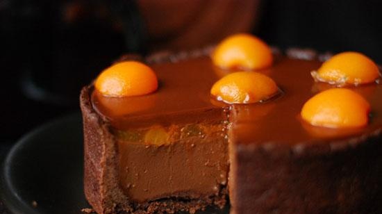 Andy Chef's Chocolate Tart with Apricots and Mousse