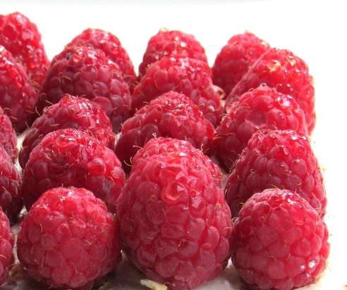 Sandy walnut tart with fresh raspberries and ricotta