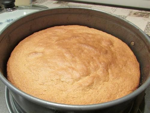 Torta di sambuco nero