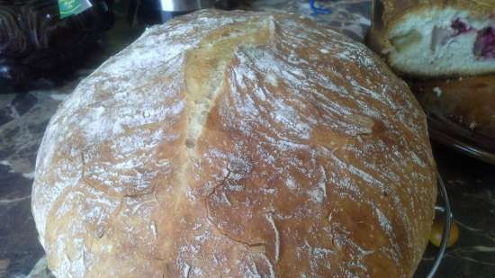 Pane artigianale senza impastare