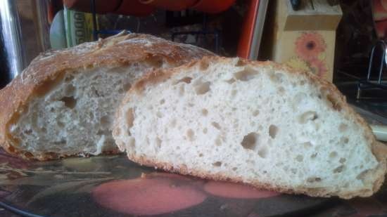 Pane artigianale senza impastare con lievito madre