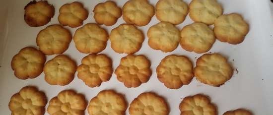 Jeringa de prensa de galletas