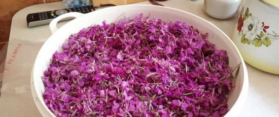 Miele di Fireweed