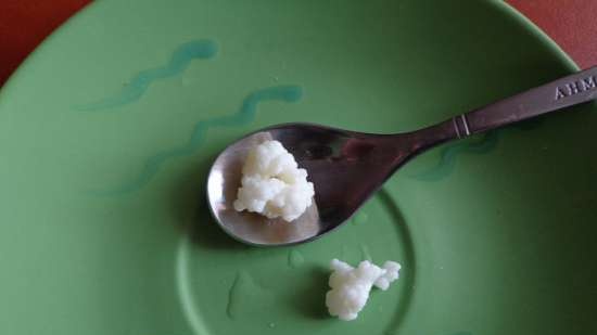 Tibeti kefir gomba