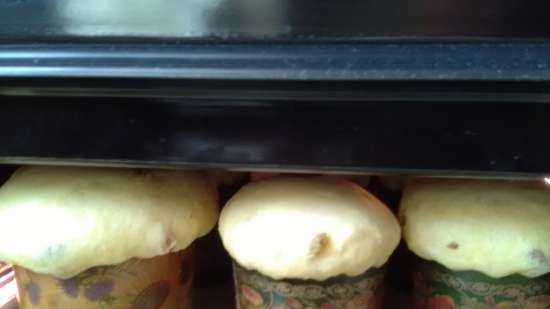 Kulich with Myasoedovskaya in the oven (master class)