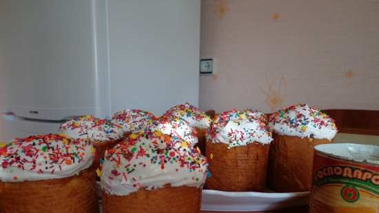 Kulich with Myasoedovskaya in the oven (master class)