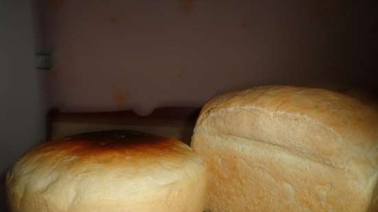 Pane di grano per tutti i giorni 