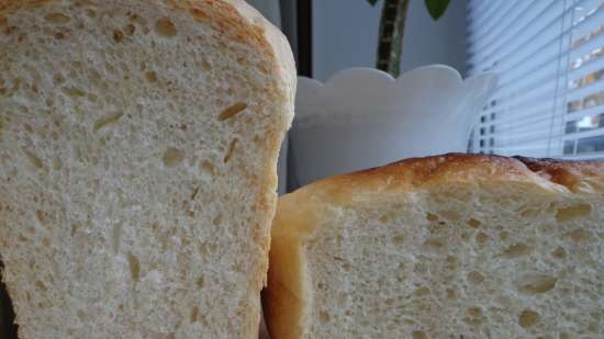 Pane di grano per tutti i giorni 