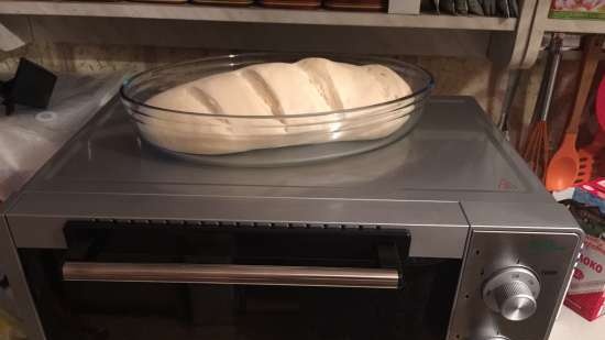 Pane bianco per tutti i giorni (mini forno Steba Linea 28Eco)