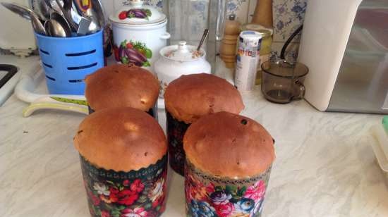 Kulich עם Myasoedovskaya בתנור (כיתת אמן)