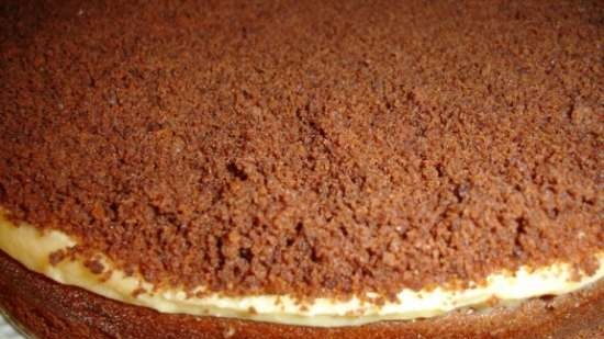 Low Fat Chocolate Cake - Sjokopulver Kake (Lite Fett)