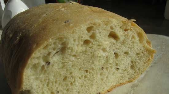 Pane di grano a lunga fermentazione (forno)