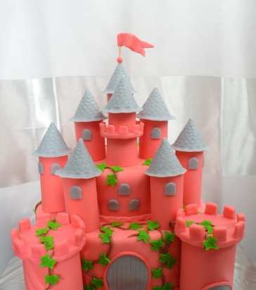 Castles, palaces, houses (cakes)