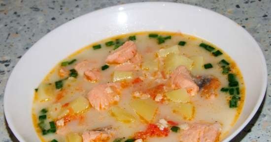 Zuppa di salmone in una pentola a cottura lenta