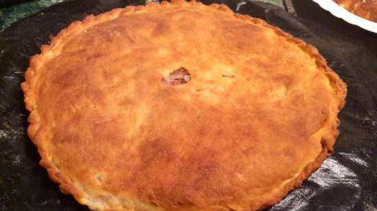 Torta di carne e cavolo (Princess Pizza Maker)