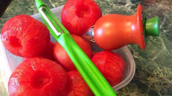 Zuppa di pomodoro e basilico (fornello per frullatore fisso Moulinex)