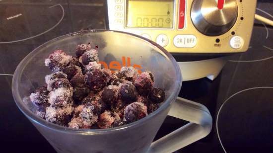 Currant kissel (stationaire blender-soepkoker Moulinex)