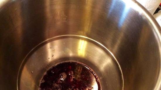 Currant kissel (stationaire blender-soepkoker Moulinex)