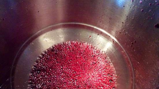 Currant kissel (stationaire blender-soepkoker Moulinex)