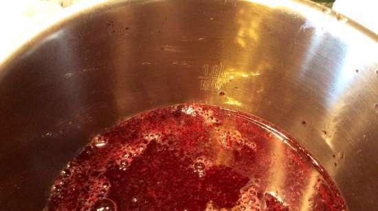 Currant kissel (stationaire blender-soepkoker Moulinex)