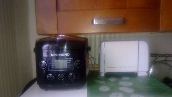 Multicooker Redmond RMC-02