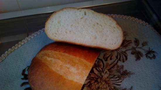 Pane italiano della pasta al forno