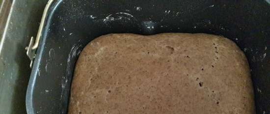 Pan de centeno con levadura líquida