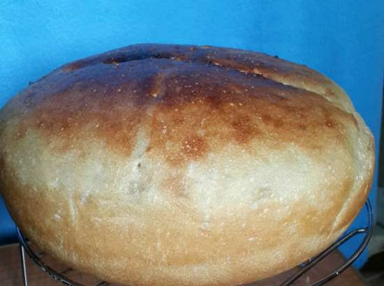 Pane dorato