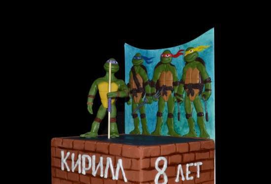 Teenage Mutant Ninja Turtles Cakes