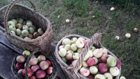 Preparato dolce a base di vinacce di frutta