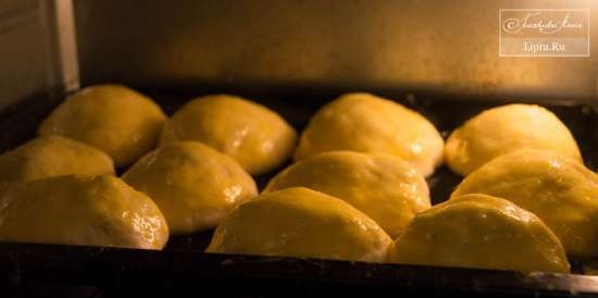 Pane a lievitazione naturale